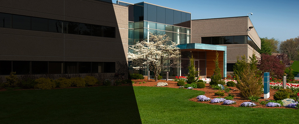 Camillus Landscapers