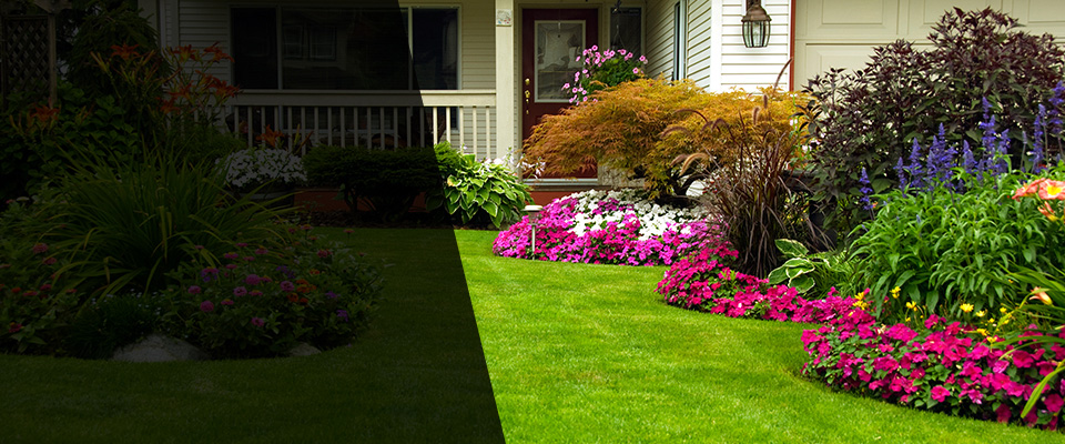 Camillus Landscapers