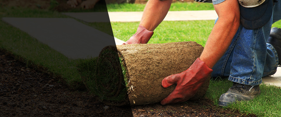 Camillus Landscapers