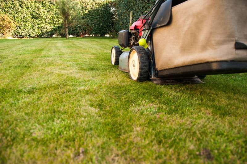 Fertilizing
